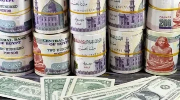 سعر الدولار مقابل الجنيه يشهد استقرارًا في منتصف تعاملات البنوك المصرية